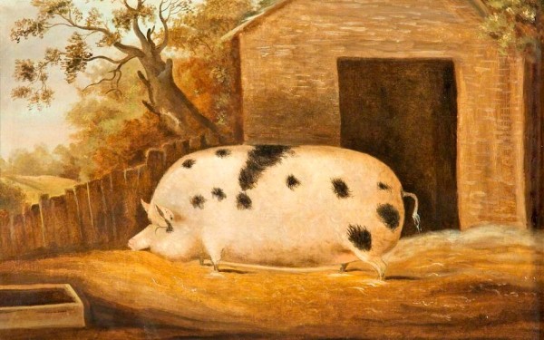 John Miles, Gloucester Old Spot, 1834