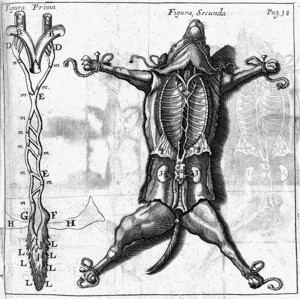 Anita Guerrini, The Courtiers' Anatomists 3 animal experiments