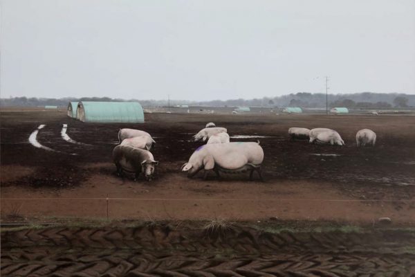 John Stark, Beasts of England IV
