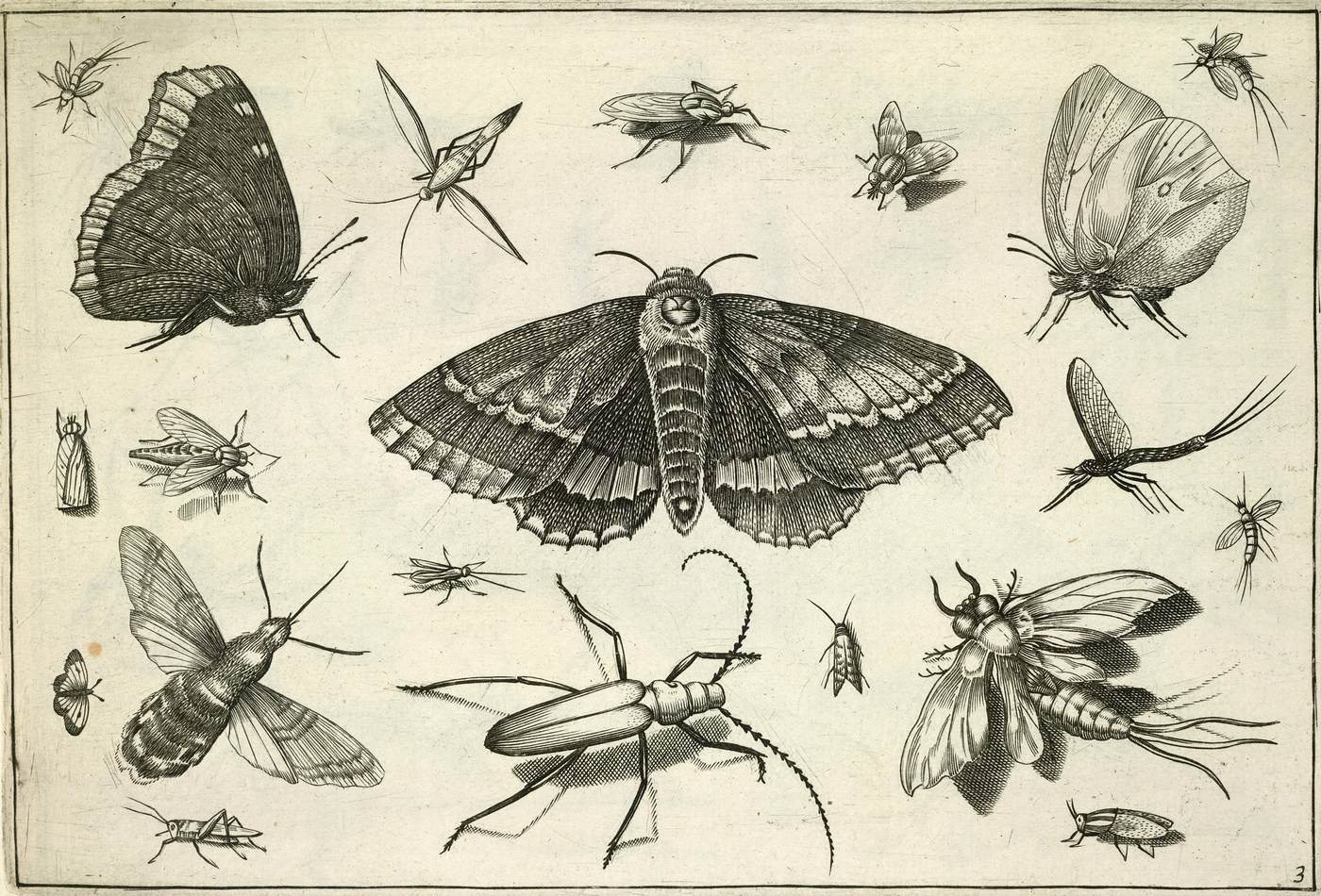 Charlotte Sleigh, The Paper Zoo