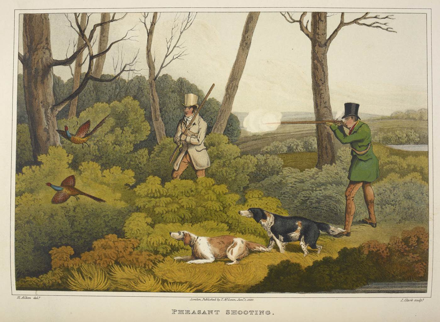 Charlotte Sleigh, The Paper Zoo