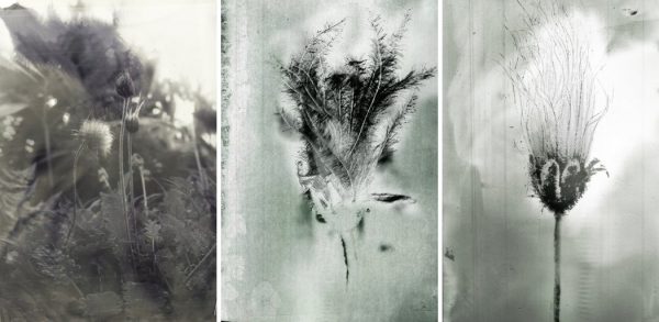 Michael Marder