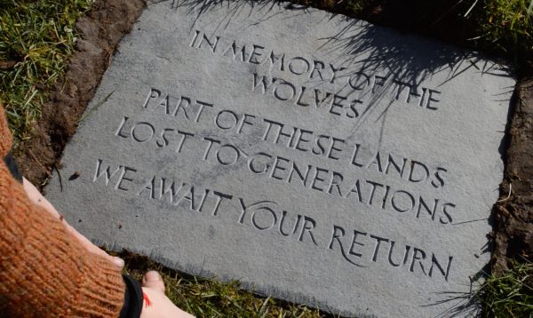 Polson Stone