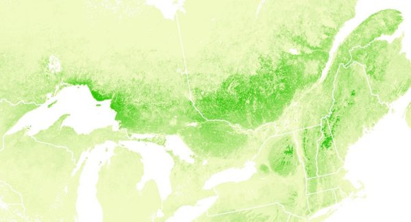 Birch map